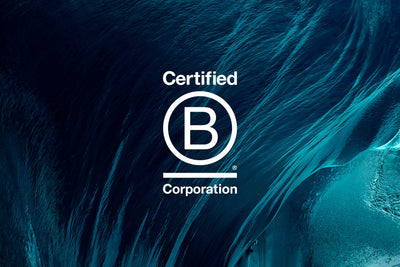 OTIS is now B-Corp Certified