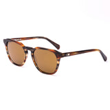 DIVIDE - Eco Matte Dark Tort / Brown Polar