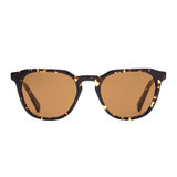 DIVIDE X - Eco Star Tort / Brown