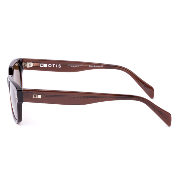 Brown rectangle sunglasses on a white background