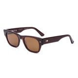 Brown wayfarer sunglasses on a white background