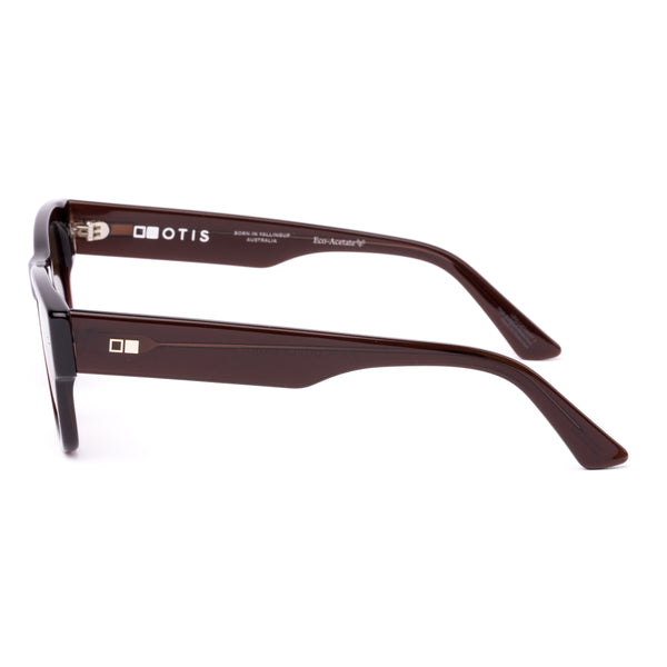 Brown wayfarer sunglasses on a white background