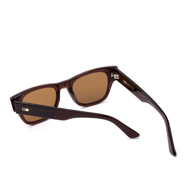 Brown wayfarer sunglasses on a white background