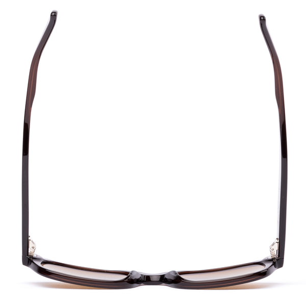 Brown wayfarer sunglasses on a white background