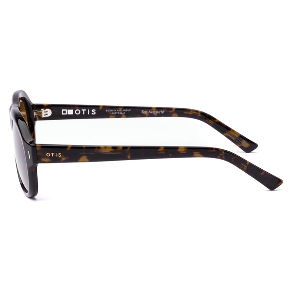 KINGSWOOD - Eco Umber Tort / Brown