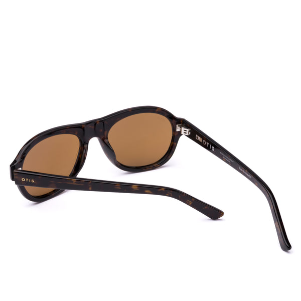 KINGSWOOD - Eco Umber Tort / Brown