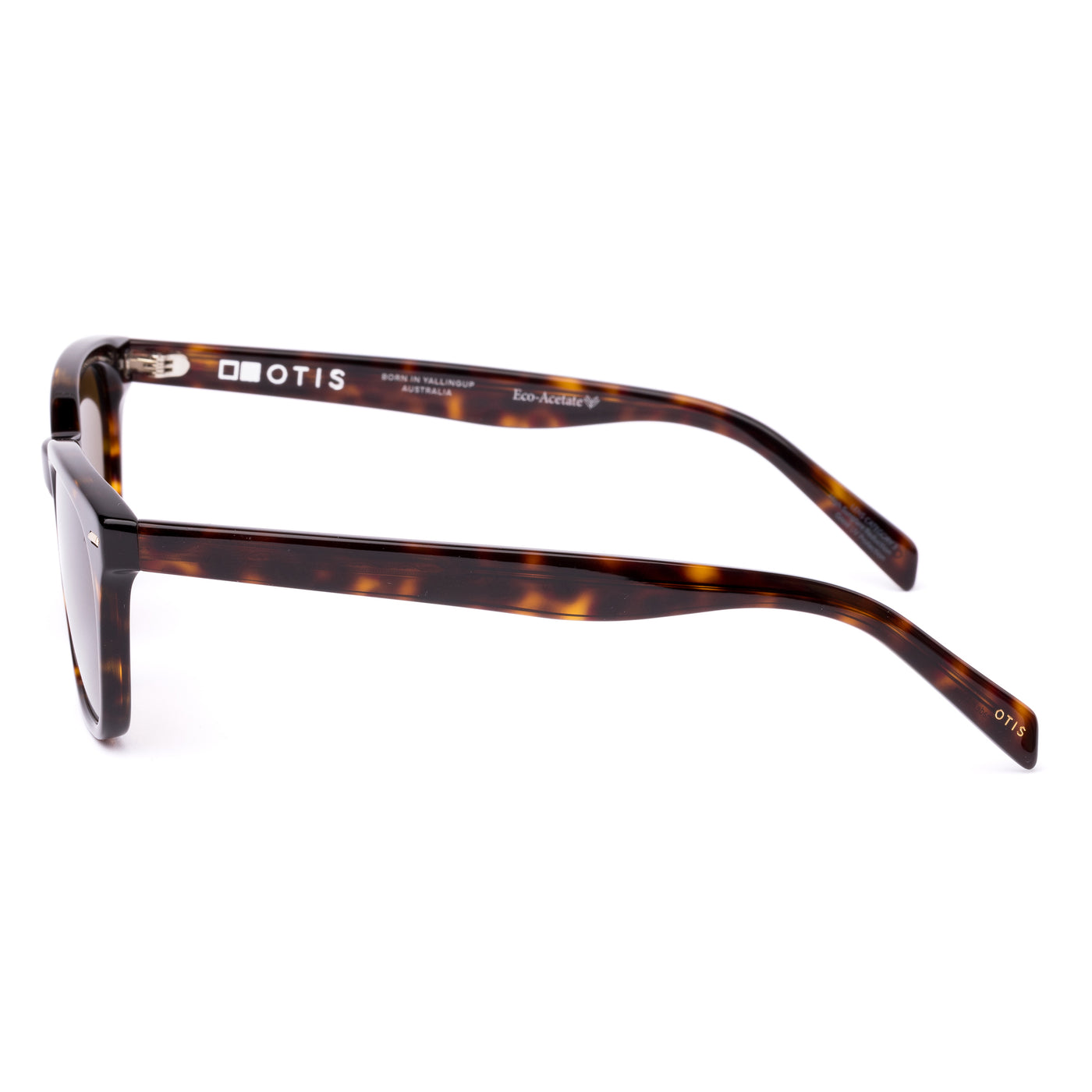 Sunglasses with tortoiseshell frame and brown lenses on a white background