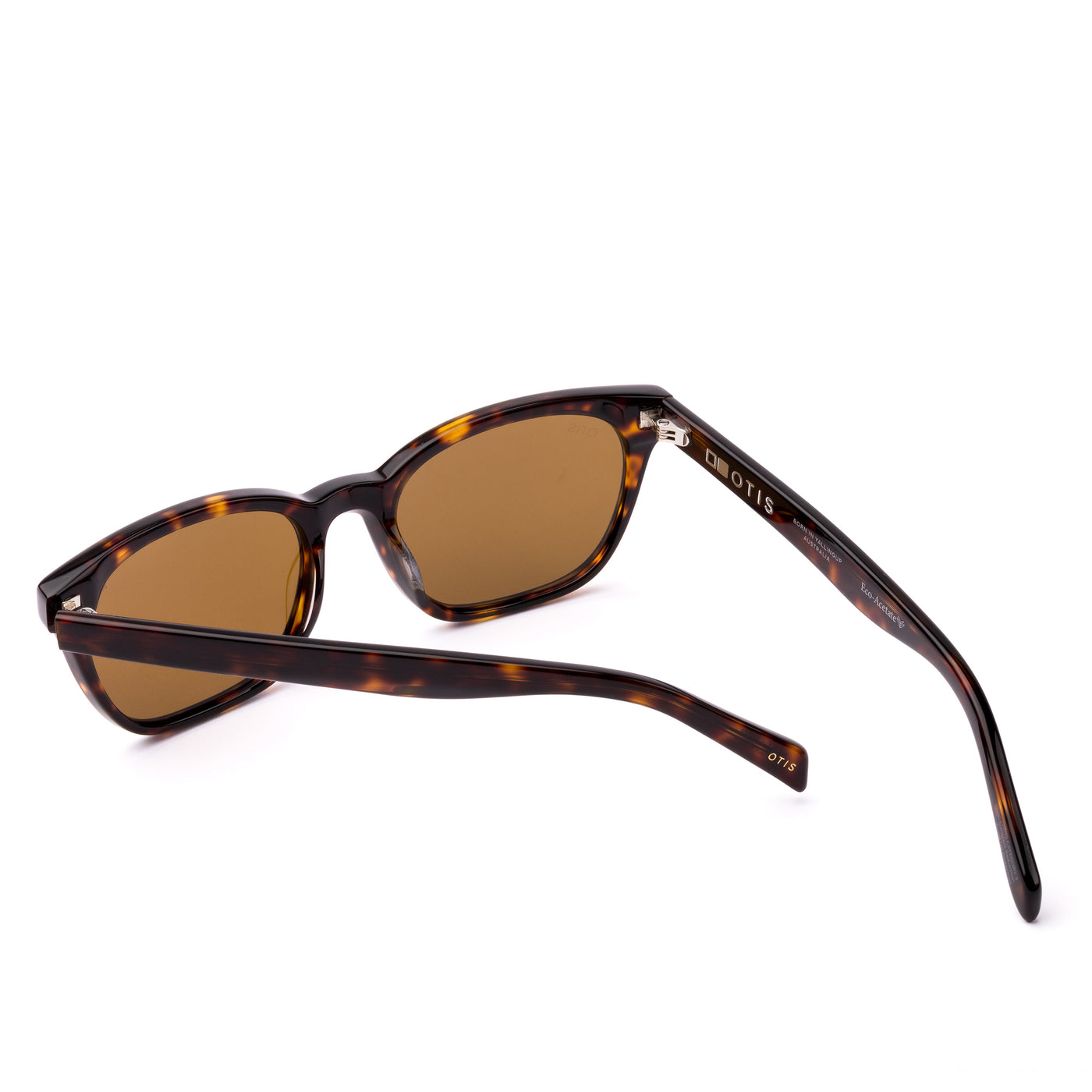 CHORUS - Eco Havana Ray / Brown Polar