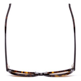 CHORUS - Eco Havana Ray / Brown Polar
