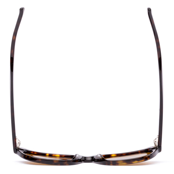 CHORUS - Eco Havana Ray / Brown Polar