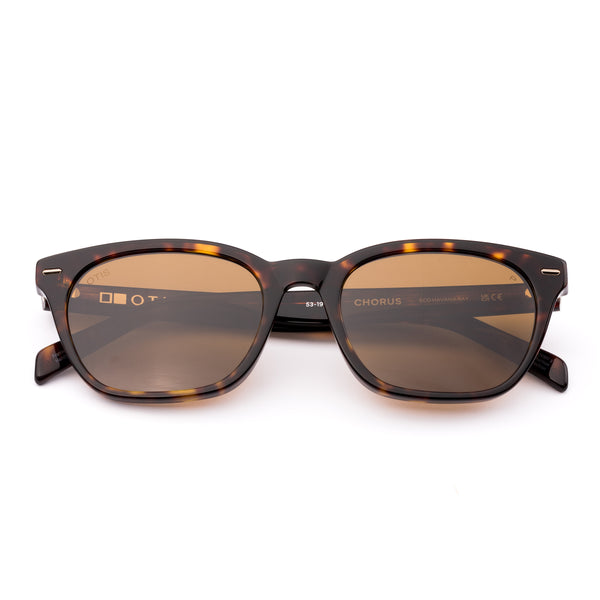Sunglasses with tortoiseshell frame and brown lenses on a white background