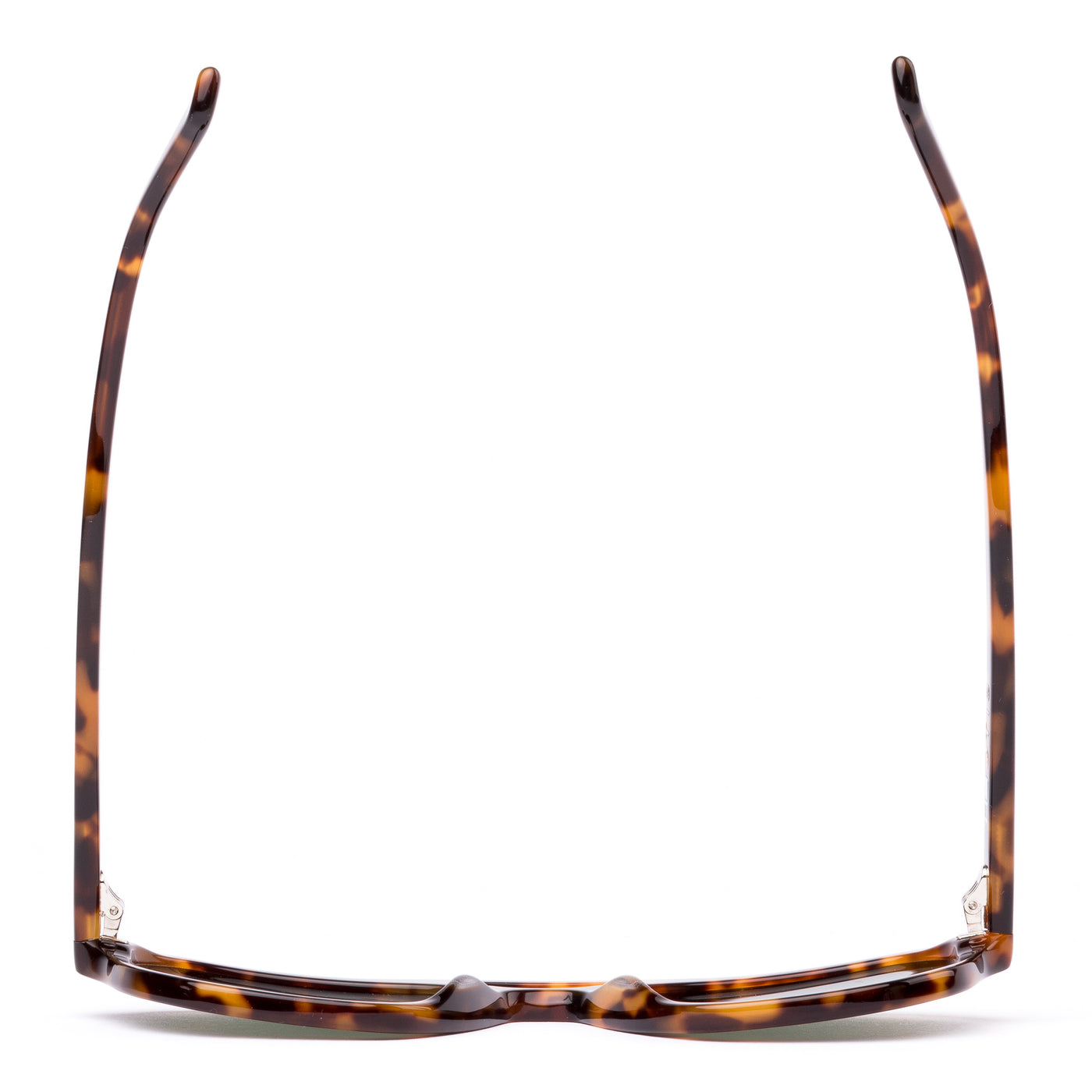 DESERT RAVEN - Eco Sepia Tort / Grey