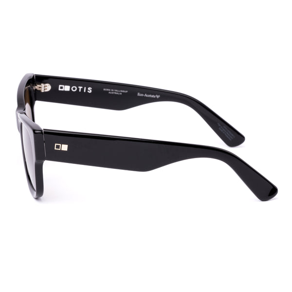 Black wayfarer sunglasses with brown lenses on a white background