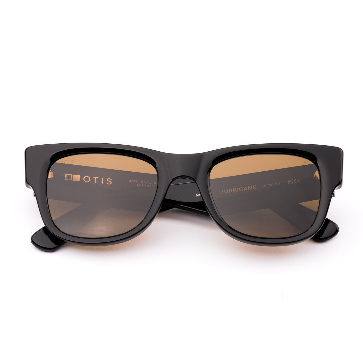 Black wayfarer sunglasses with brown lenses on a white background