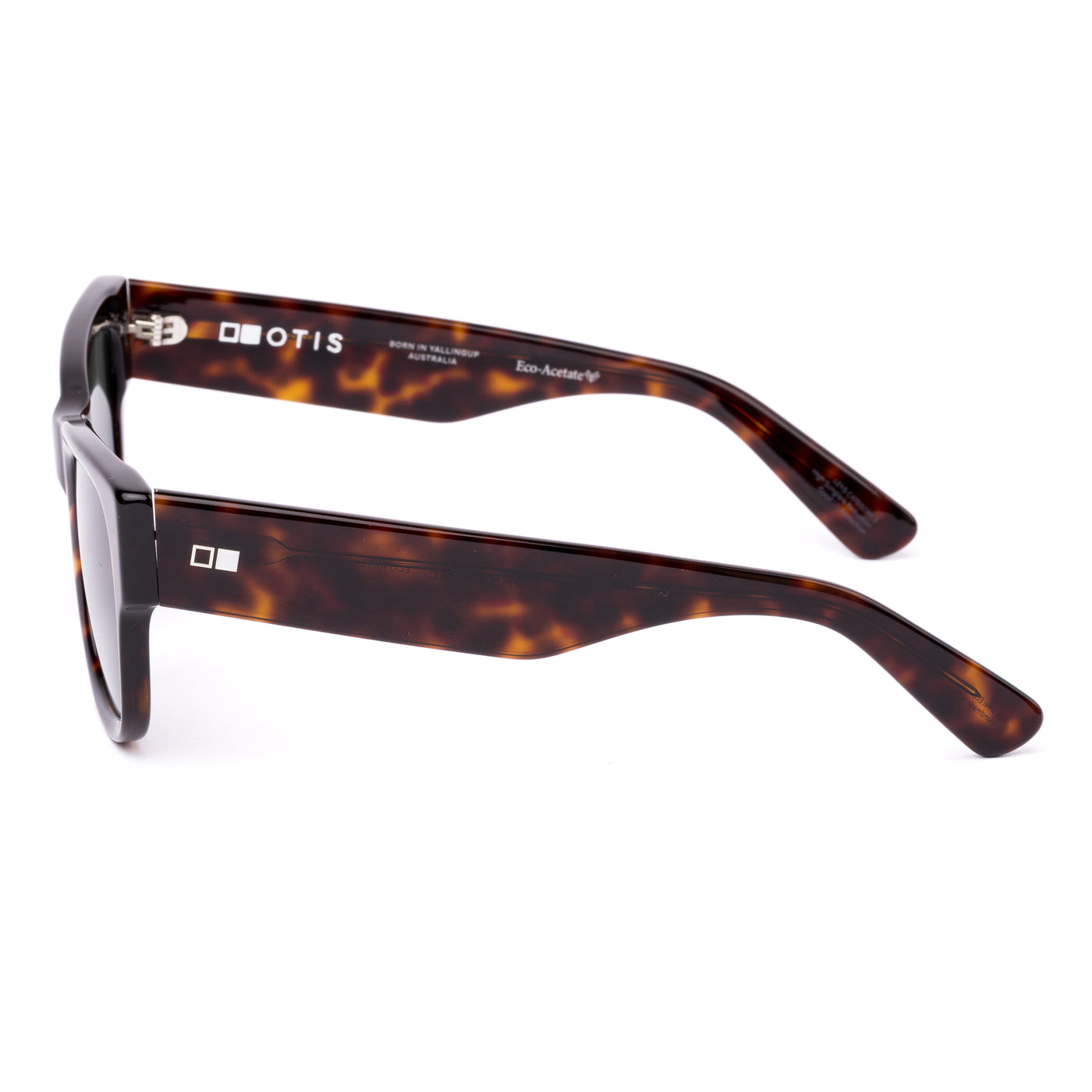 Wayfarer sunglasses with tortoiseshell frame and dark lenses on a white background