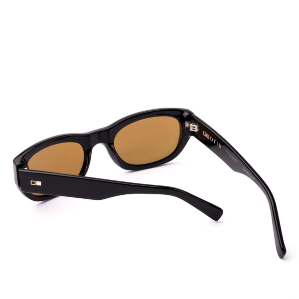Black sunglasses with brown lenses on a white background