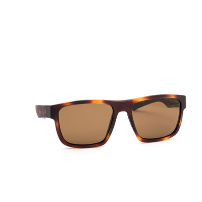 REQUEST SPORT - Matte Amberwood Tort / Brown Polar