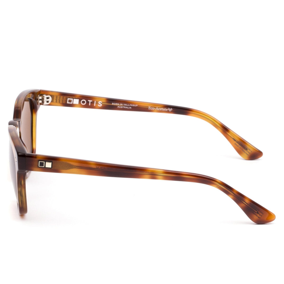 SUMMER OF 67 X - Eco Havana Zinnia / L.I.T Polar Brown