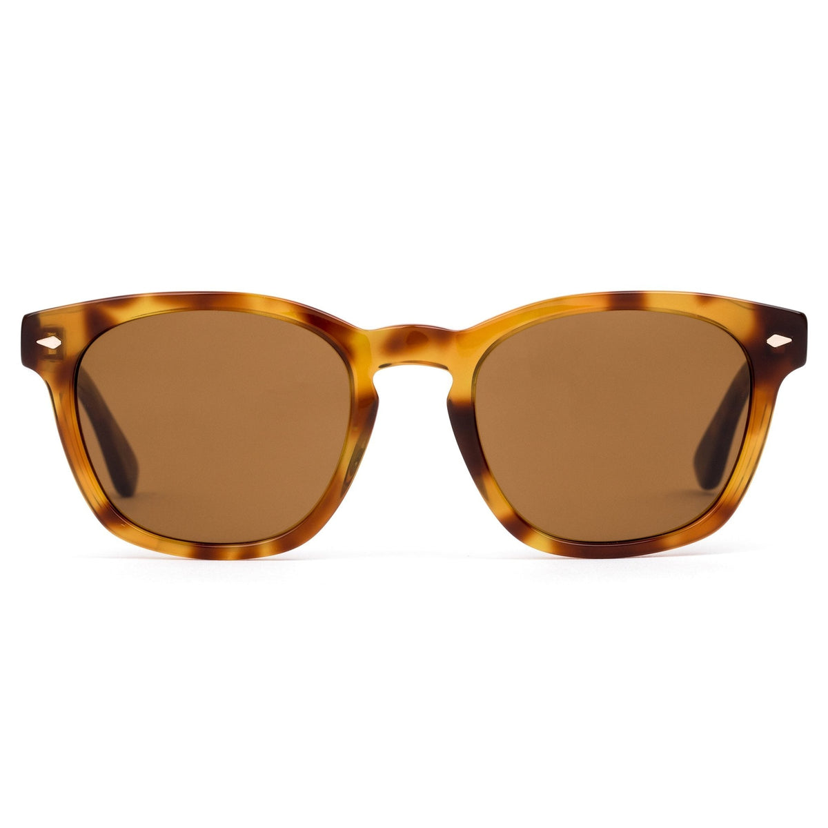 SUMMER OF 67 X - Eco Havana Zinnia / L.I.T Polar Brown