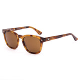 SUMMER OF 67 X - Eco Havana Zinnia / L.I.T Polar Brown