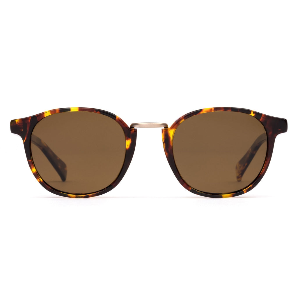 Round tort sunglasses with wire nose bridge