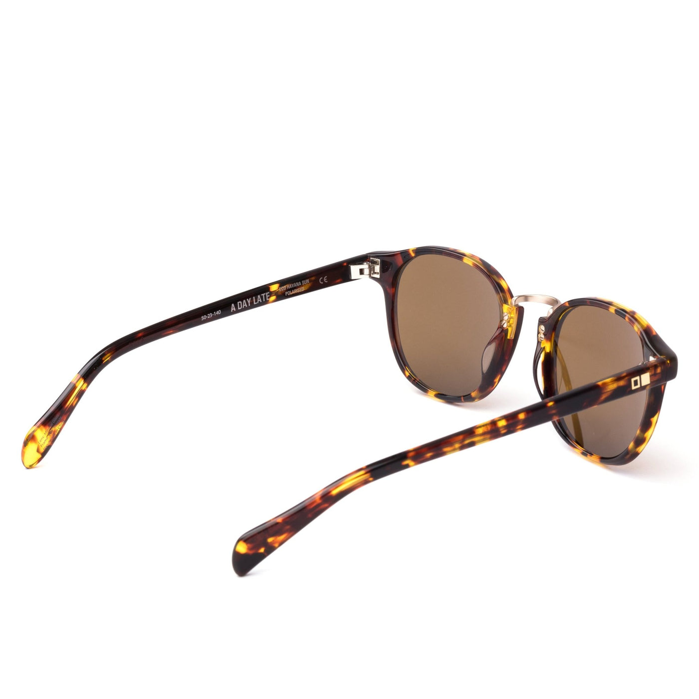 Round tort sunglasses with wire nose bridge from a back angle