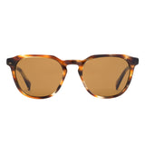 DIVIDE - Eco Aurora / Brown Polar