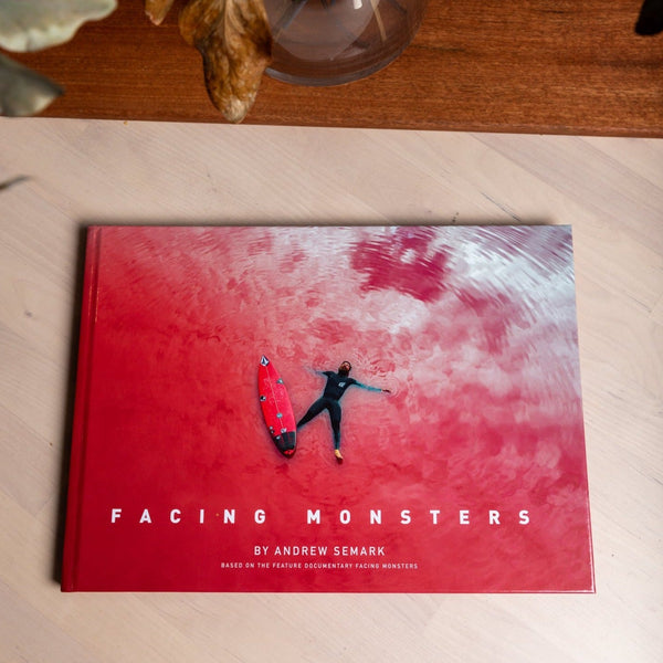 Facing Monsters - by Andrew Semark