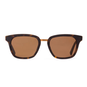 FICTION - Matte Dark Tort / Brown Polar