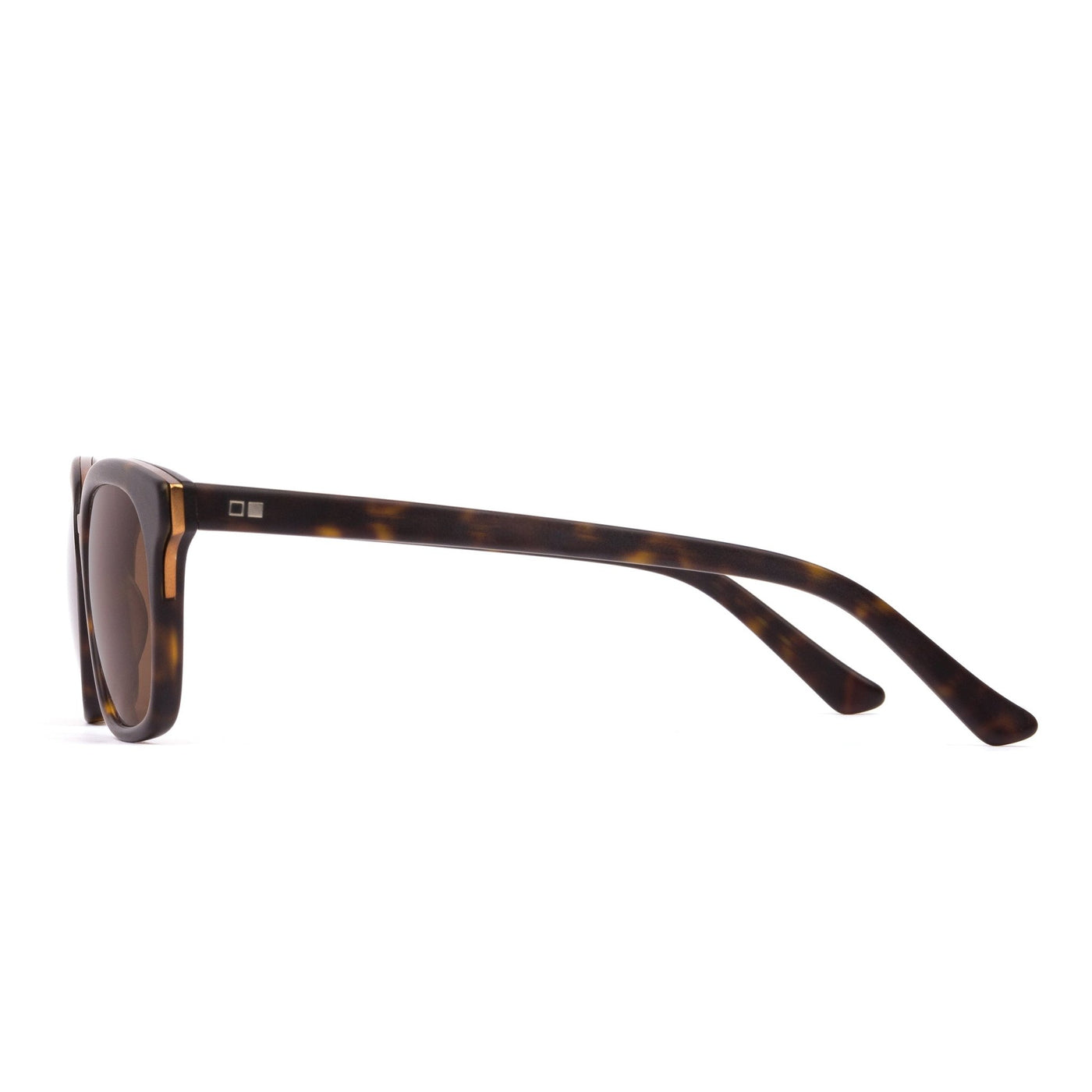 Brown Tortoise OTIS eyewear sunglasses from the side