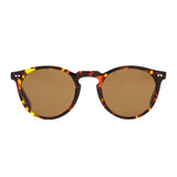 OMAR - Eco Havana Sun / Brown Polar